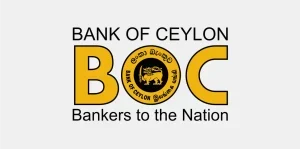 Image-Replace1-1-300x149